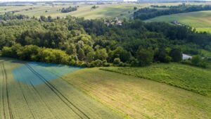 zdjęcie(2of10)kopia